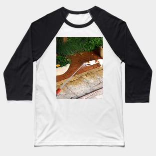 Dont eat my water Baseball T-Shirt